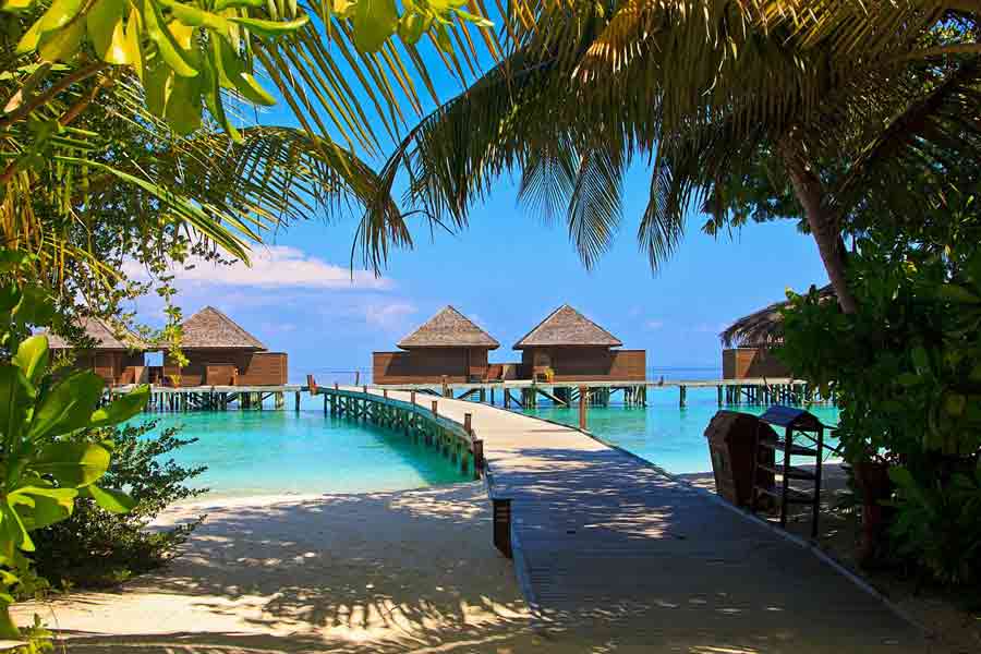Bungalows sur pilotis aux Maldives, ponton en bois entouré d'un lagon turquoise et de palmiers, image type du voyage de noces balnéaire