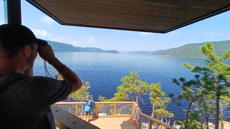 Observation du fjord du Saguenay aux jumelles depuis le belvédère de la Halte du Béluga, à la recherche des bélugas lors de notre road trip au Canada